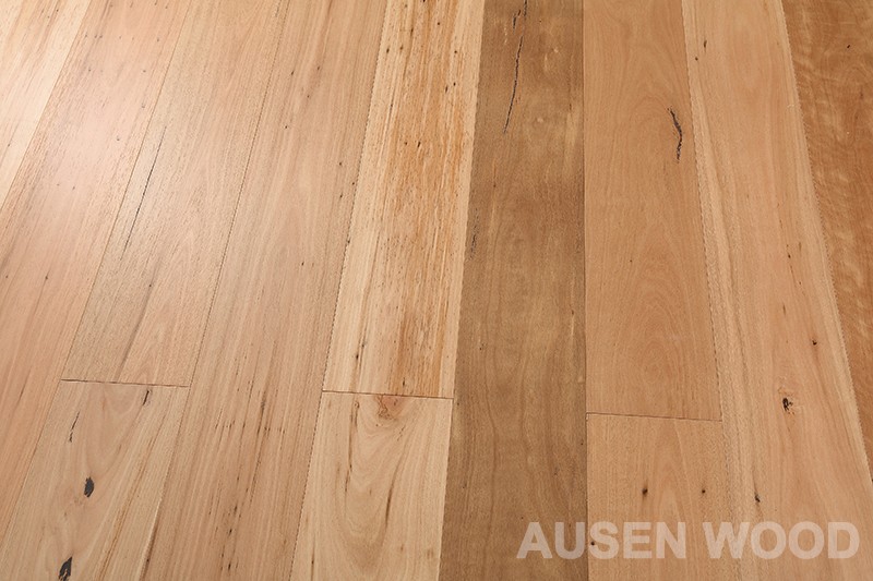 Gordon-Brushed Blackbutt Plank factory