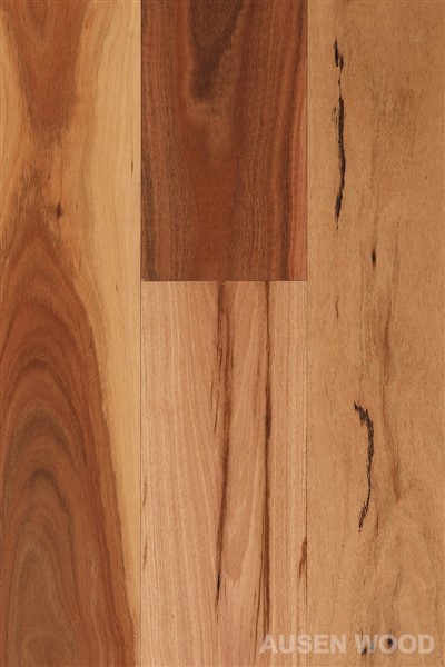 Daintree-Flad plettet tyggegummiplanke